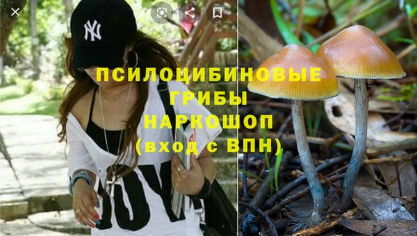 MDMA Premium VHQ Бронницы