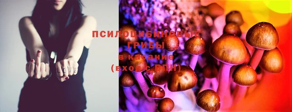 эйфоретик Бугульма
