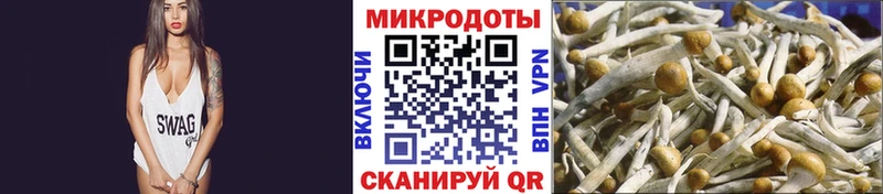 Псилоцибиновые грибы прущие грибы  Улан-Удэ 